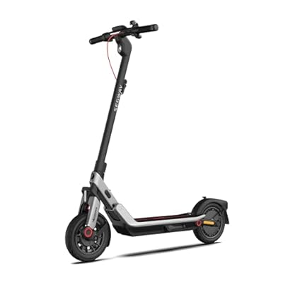 lightweight electric scooter
