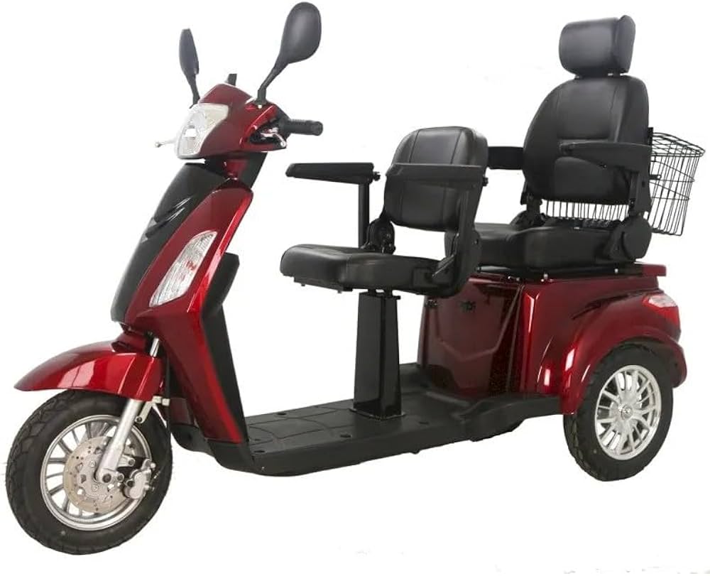 electric scooter for two people