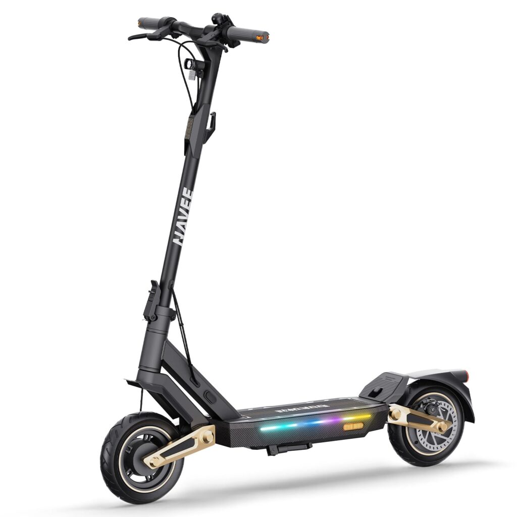 electric scooter for winter