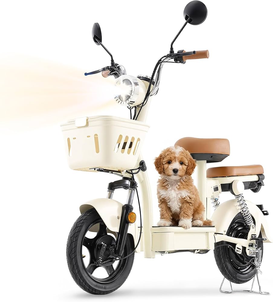 electric scooter for two people