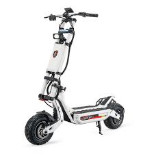 Electric Scooter for Heavy Adults