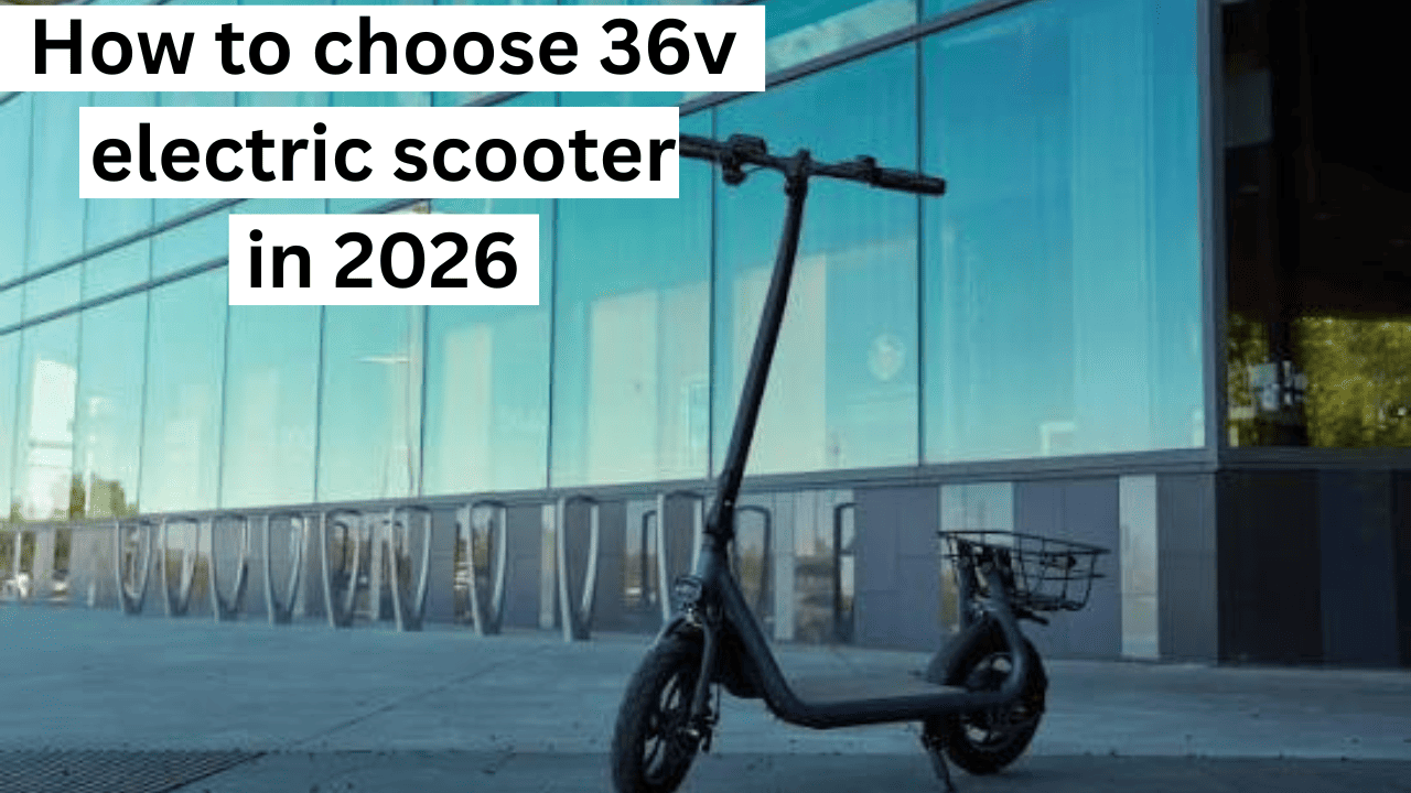 36v electric scooter