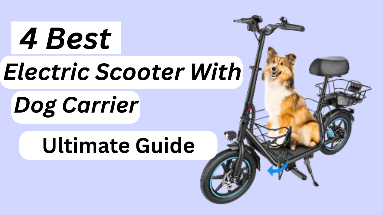 electric scooter with dog carrier