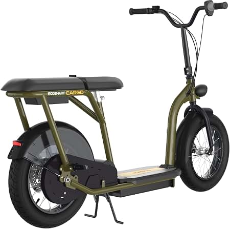 cargo electric scooter