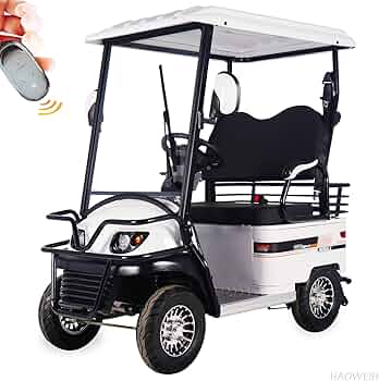 electric golf scooter