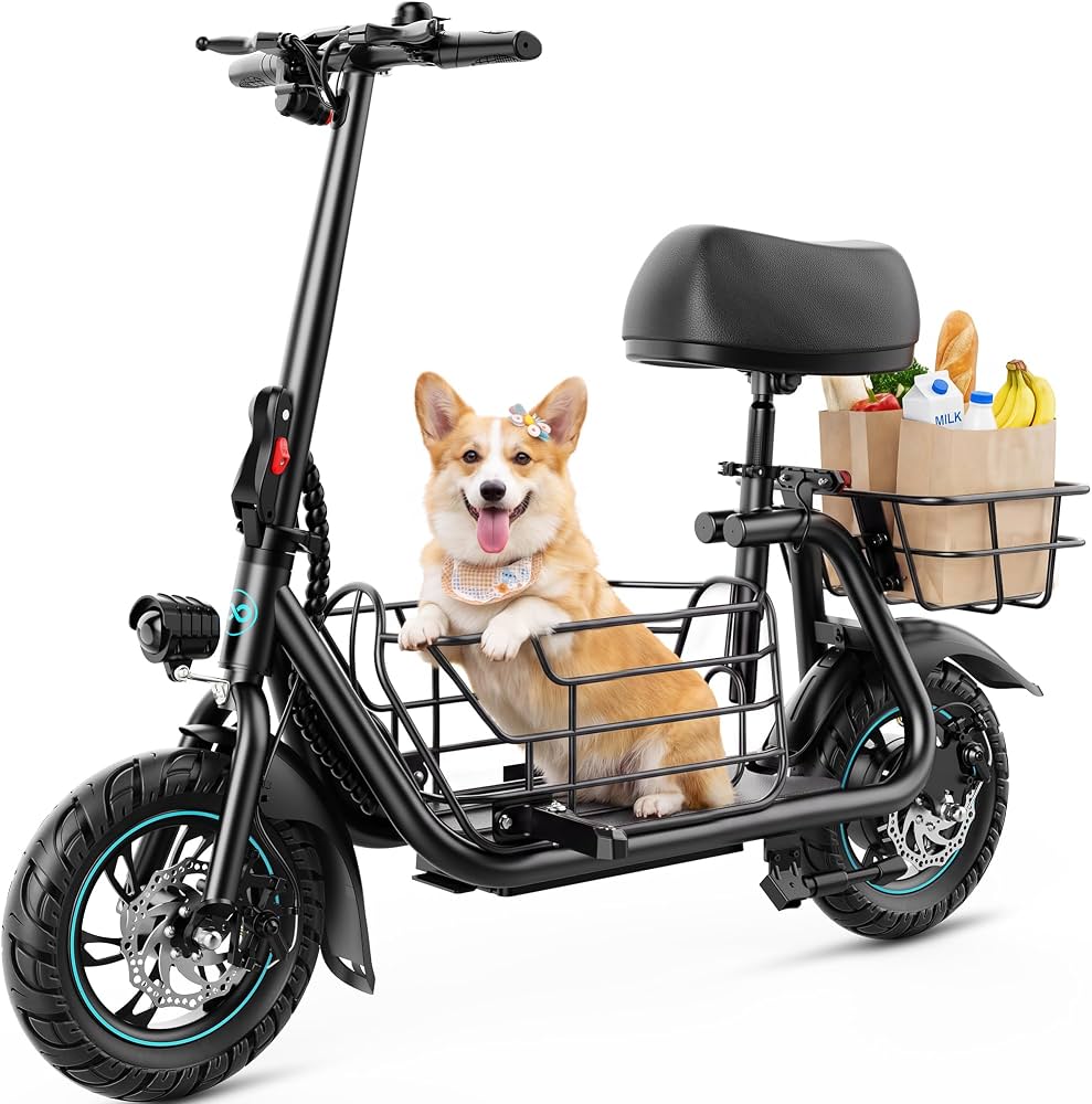 cargo electric scooter
