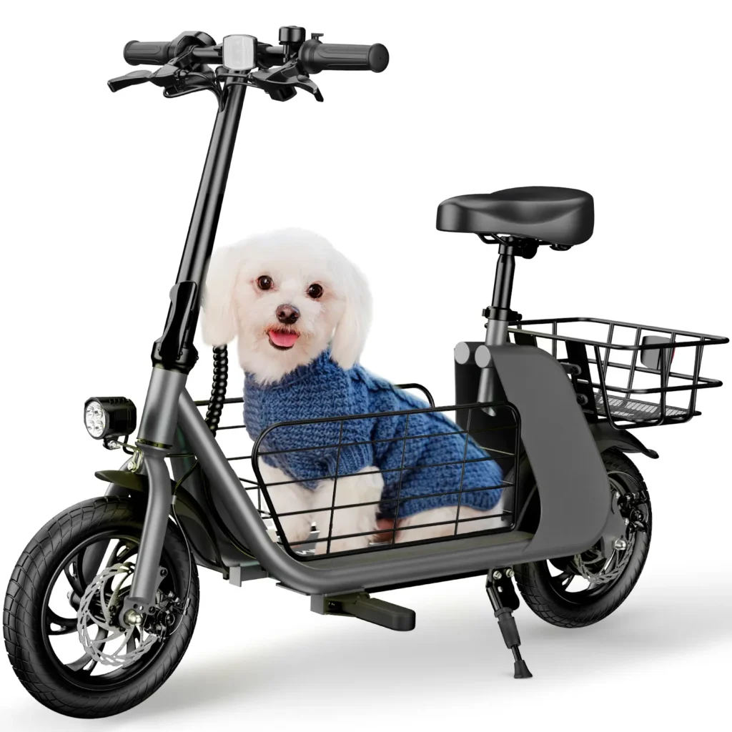 Cargo Electric Scooter