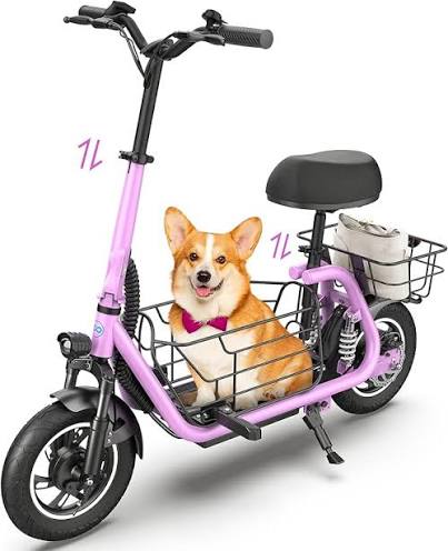 electric scooter with dog carrier