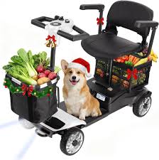 electric scooter with dog carrier