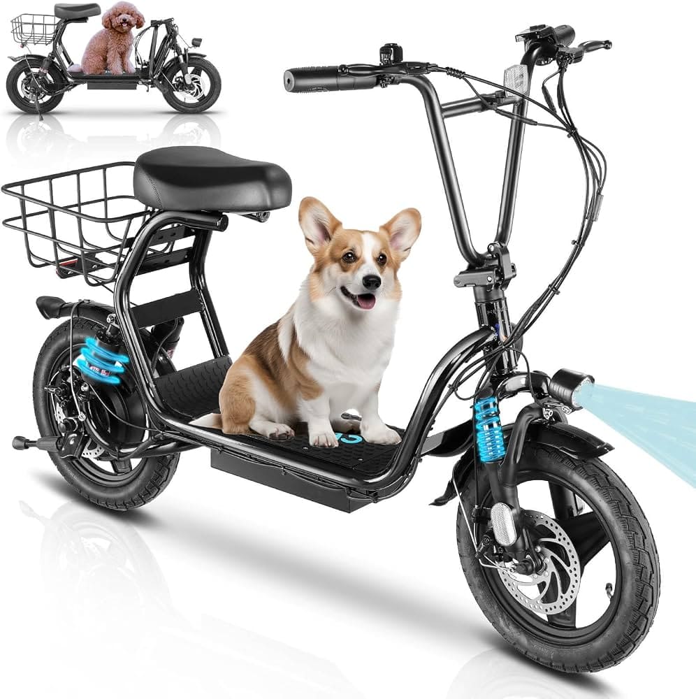 800w electric scooter