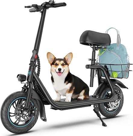 electric scooter 450w powerful motor